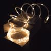 Warm White Battery LED Rope Light, 5 Metres