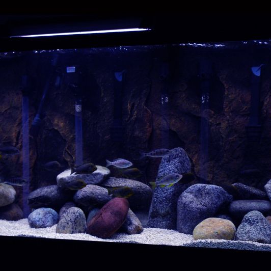 Aquarium strip light hotsell