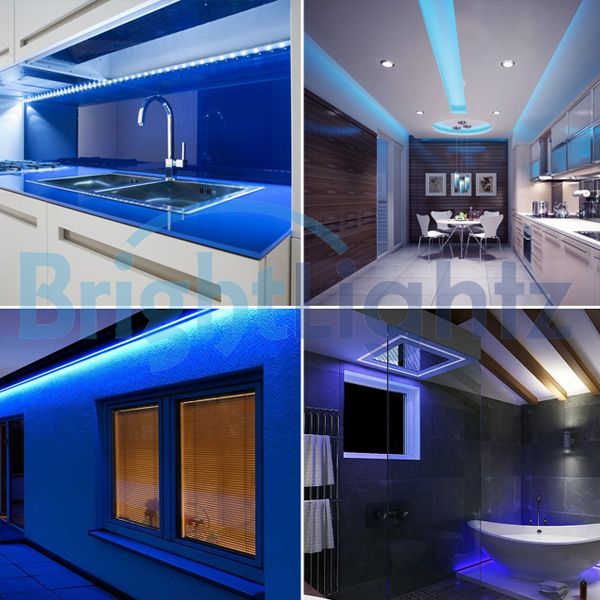 Blue led strip lights 12v new arrivals