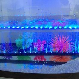 Aquarium best sale lighting uk