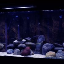 Blue LED Aluminium Rigid Bar Aquarium / Fish Tank Set 