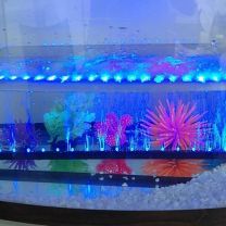Blue LED Aquarium /  Fish Tank Airstone Bubble Light 