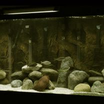 Warm White LED Aluminium Rigid Bar Aquarium / Fish Tank Set 
