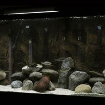 Cool White LED Aluminium Rigid Bar Aquarium / Fish Tank Set 